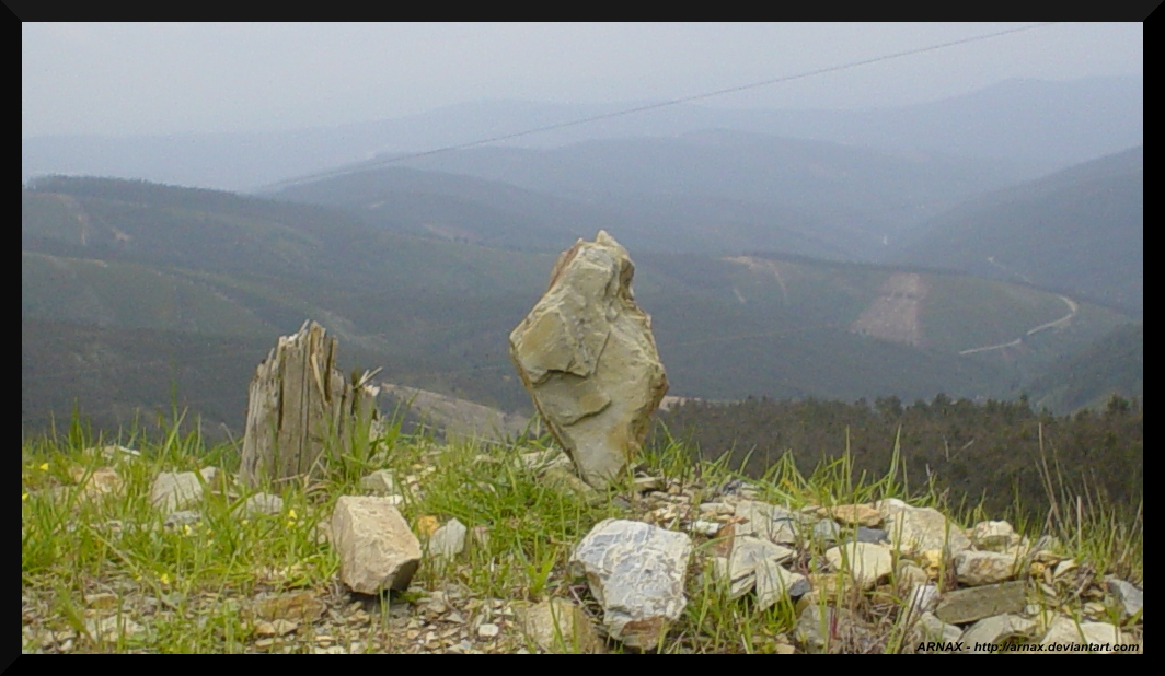 Contemplating it�s kingdom by Arnax